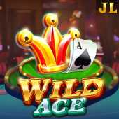 Wild Ace slot on earn php